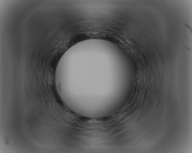X0000092020515200709061332