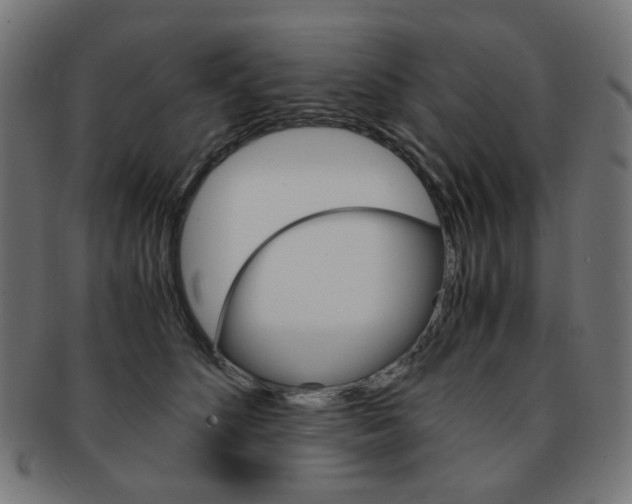X0000092020516200709061332