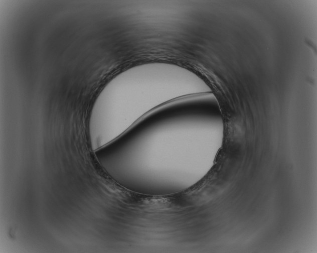 X0000092020517200709061332