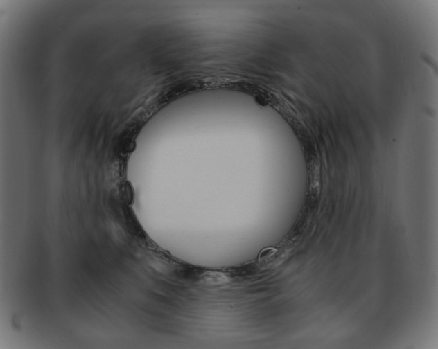 X0000092020519200709061332