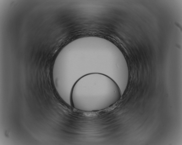 X0000092020520200709061332