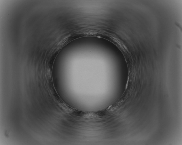 X0000092020521200709061332