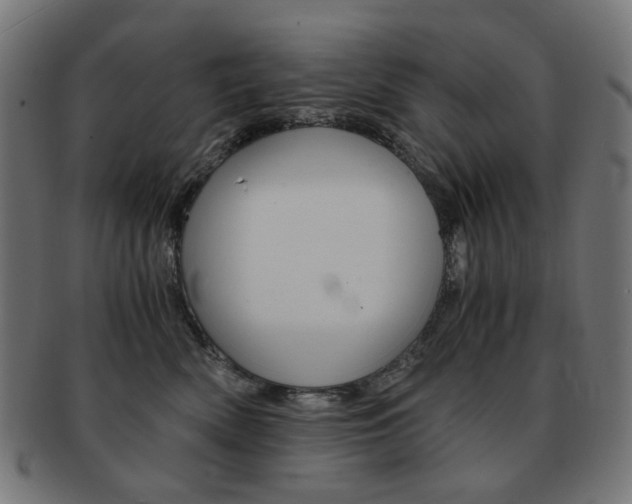 X0000092020522200709061332