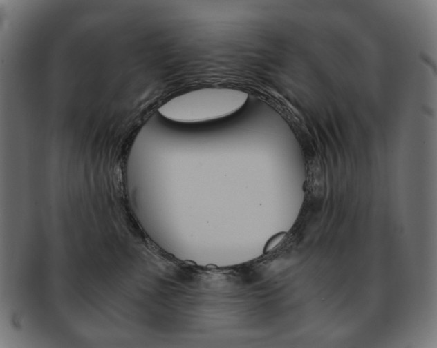 X0000092020523200709061332