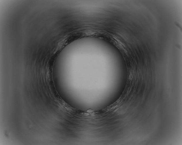 X0000092020524200709061332