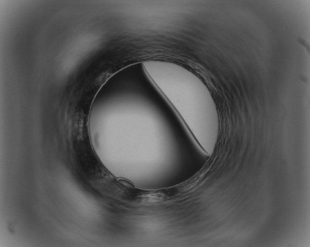X0000092020525200709061332