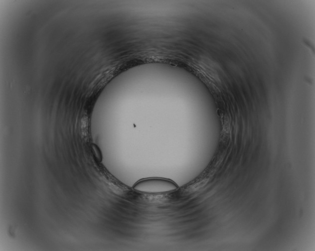 X0000092020526200709061332