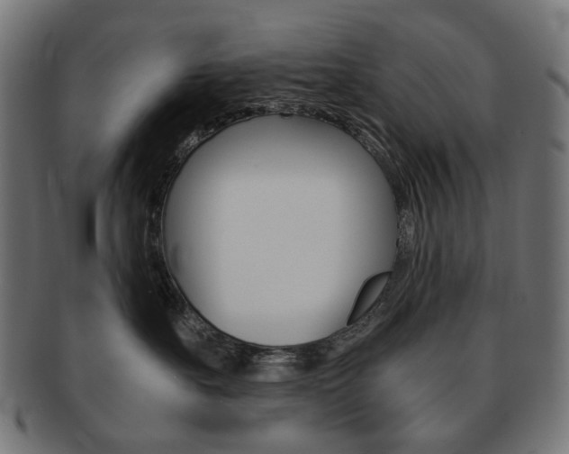 X0000092020527200709061332
