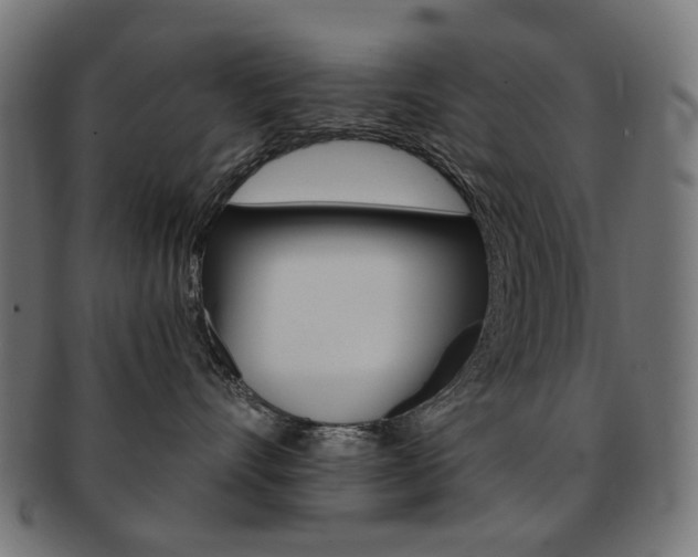 X0000092020528200709061332
