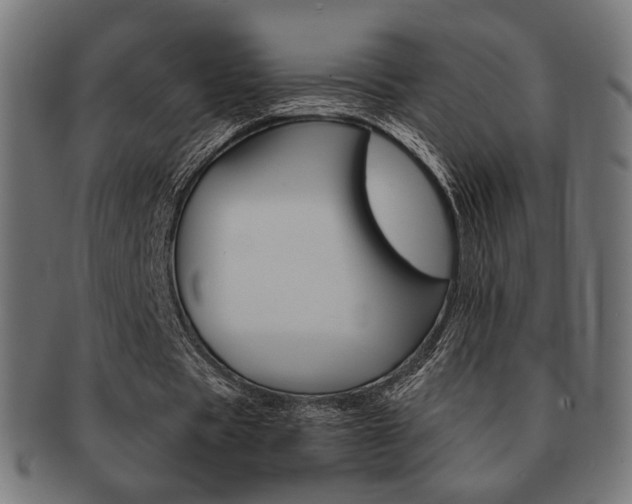 X0000092020529200709061331