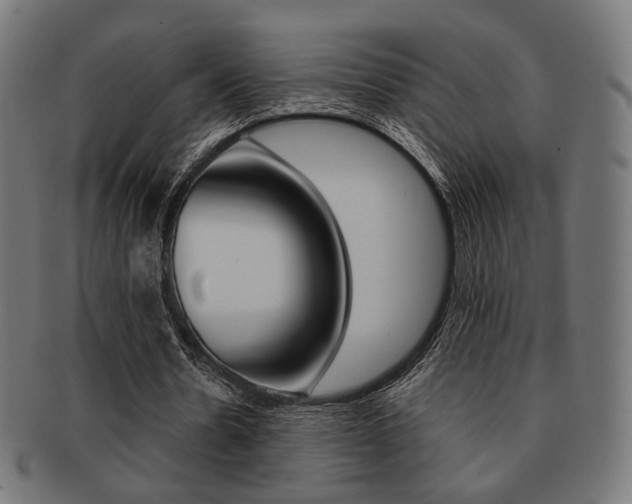 X0000092020530200709061331