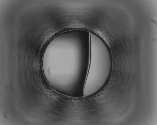 X0000092020531200709061331