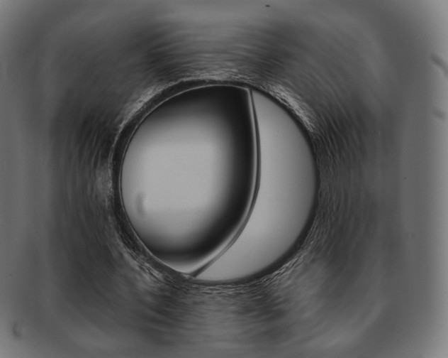 X0000092020532200709061331