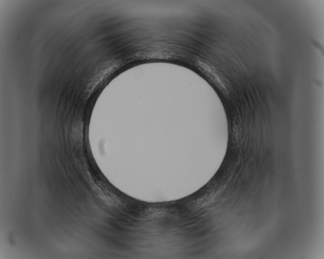 X0000092020534200709061331