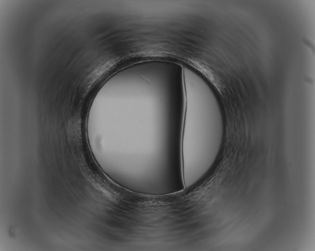 X0000092020535200709061331