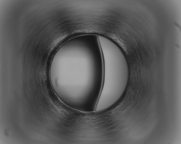 X0000092020536200709061331