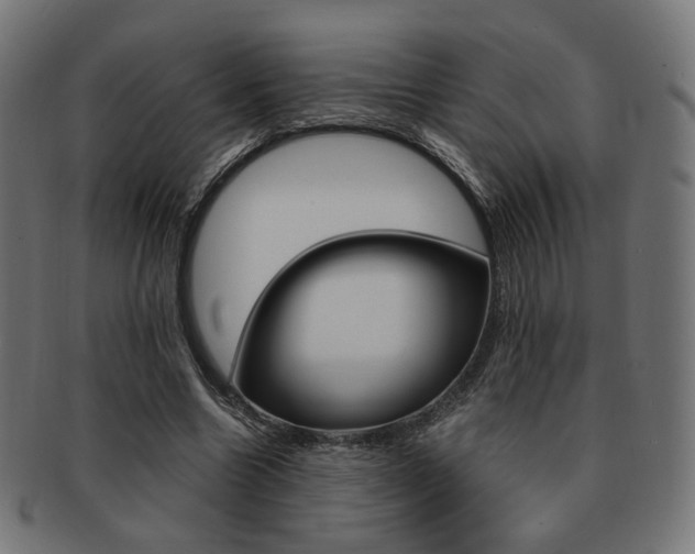 X0000092020538200709061331