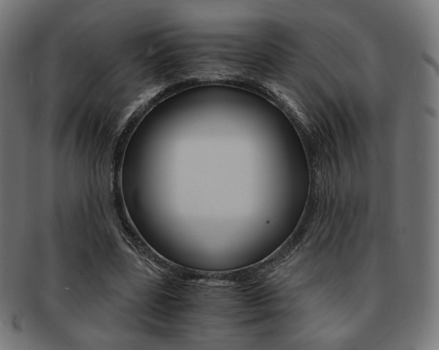 X0000092020539200709061331
