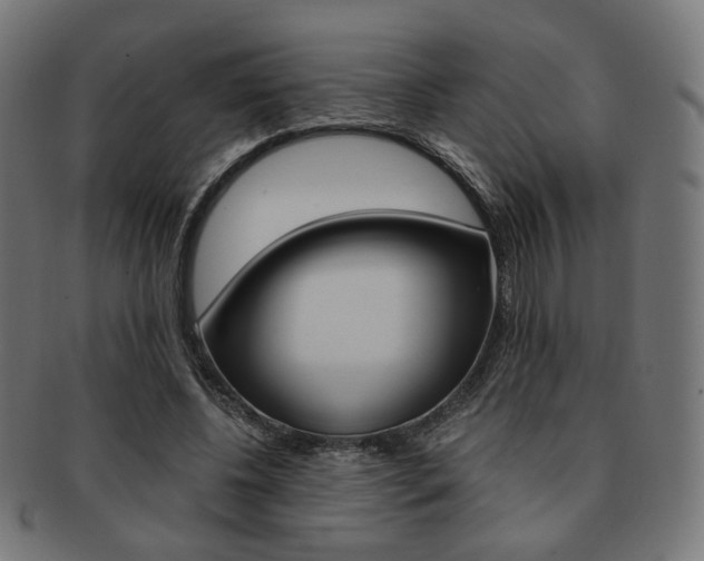 X0000092020540200709061332