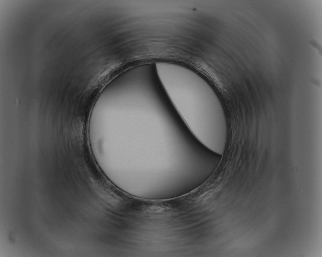 X0000092020542200709061332