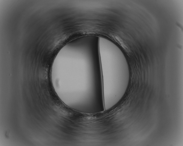 X0000092020543200709061332
