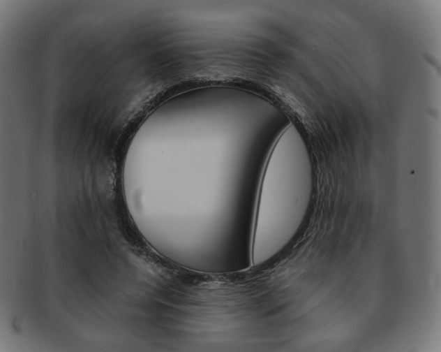 X0000092020544200709061332