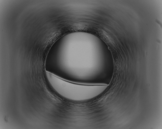 X0000092020546200709061332