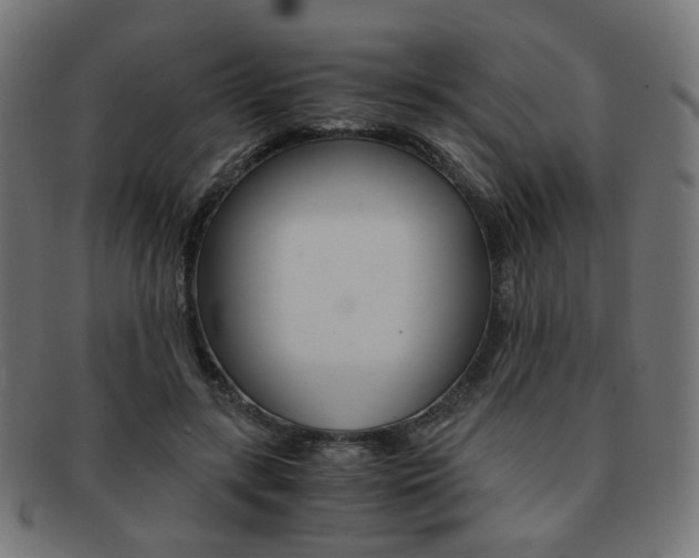 X0000092020547200709061332