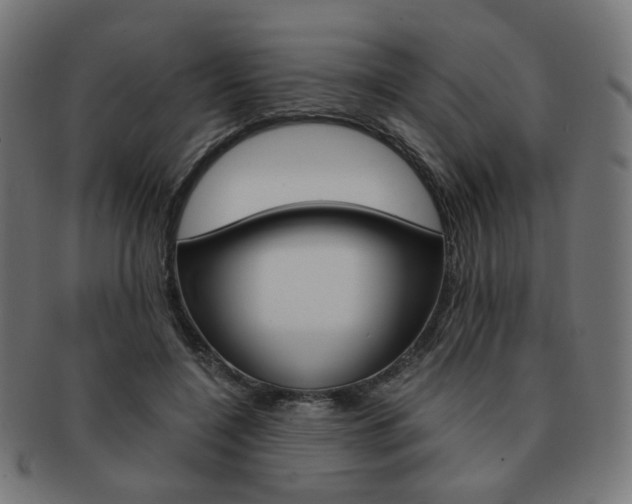 X0000092020548200709061332