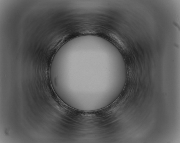 X0000092020549200709061332