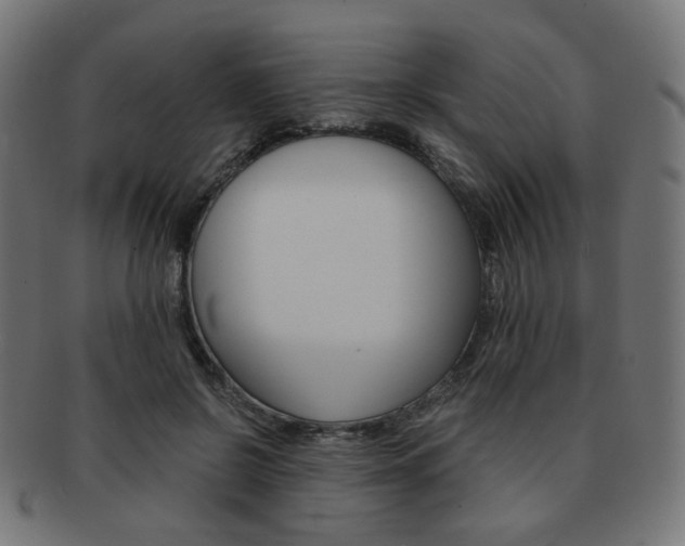 X0000092020550200709061332