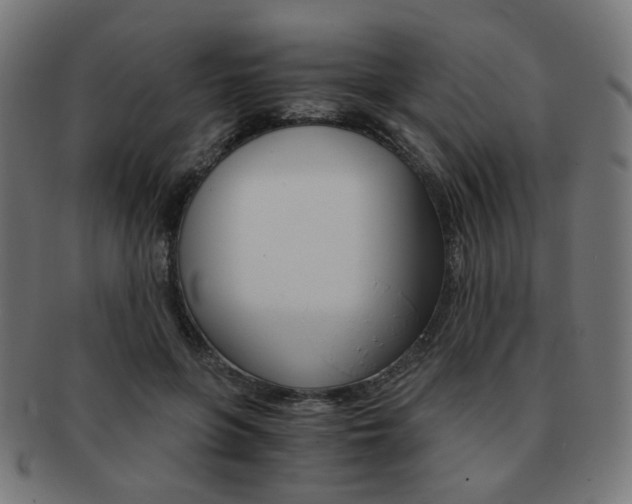 X0000092020551200709061332