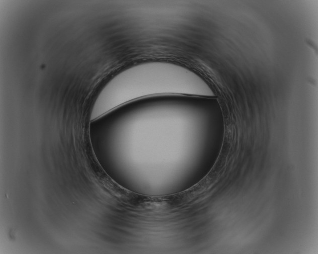 X0000092020552200709061332
