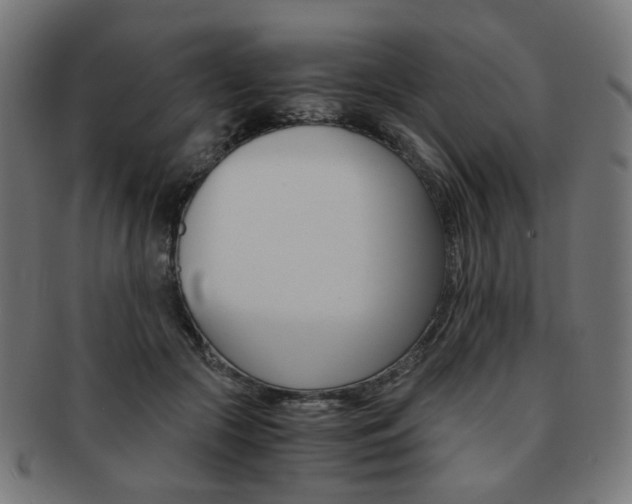 X0000092020553200709061332