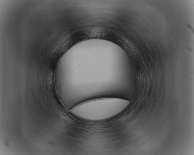 X0000092020554200709061332
