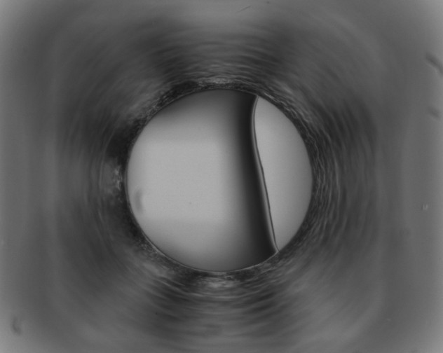 X0000092020555200709061332
