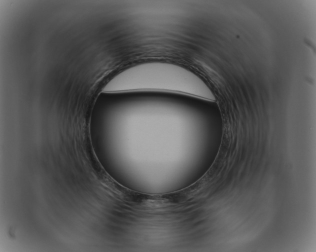 X0000092020556200709061332
