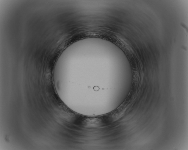 X0000092020557200709061332