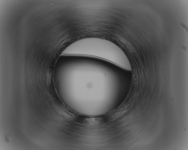 X0000092020558200709061332