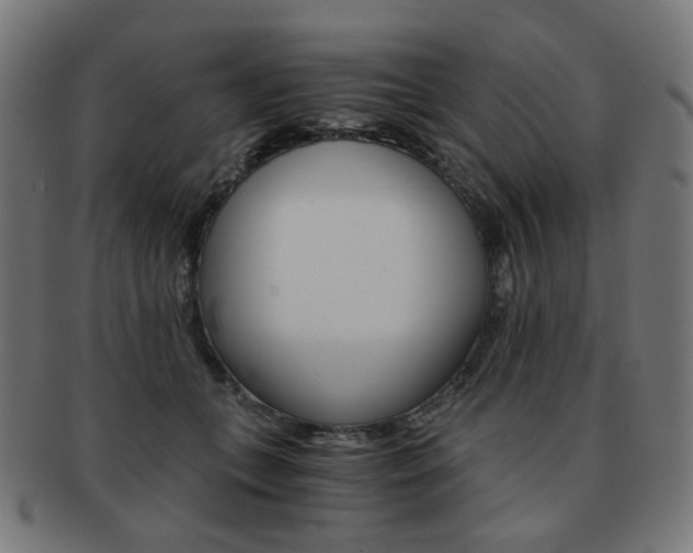 X0000092020559200709061332