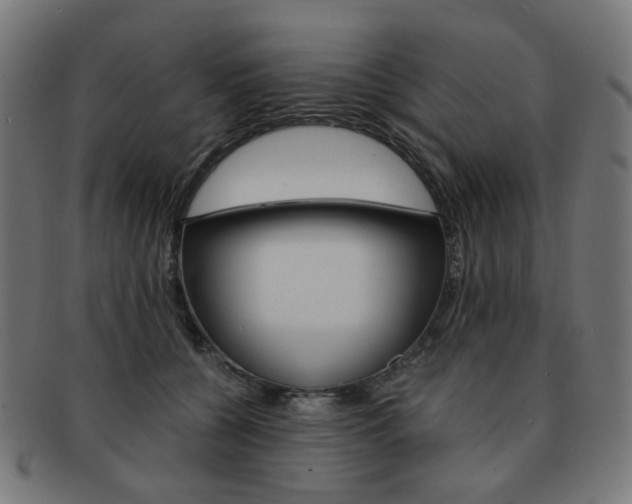 X0000092020560200709061332