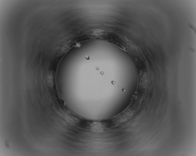 X0000092020562200709061332