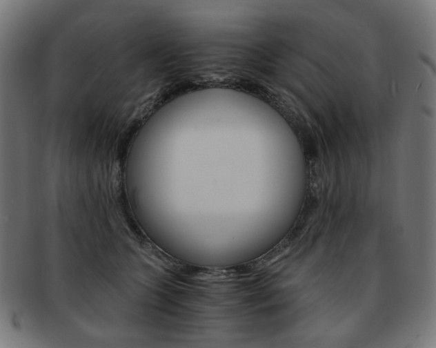 X0000092020563200709061332