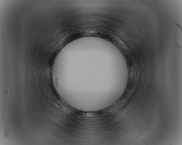 X0000092020565200709061332