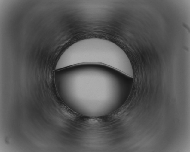 X0000092020566200709061332