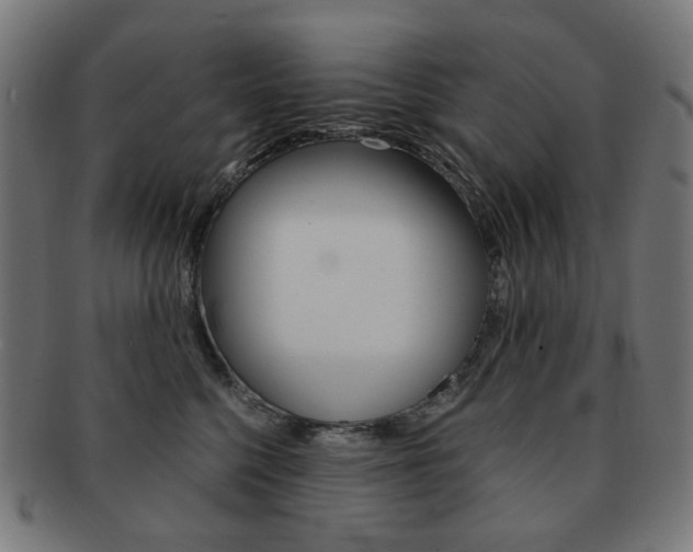 X0000092020568200709061332
