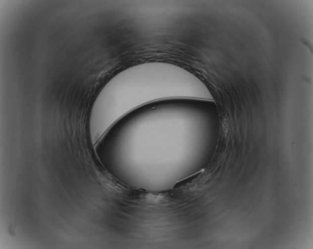 X0000092020570200709061332