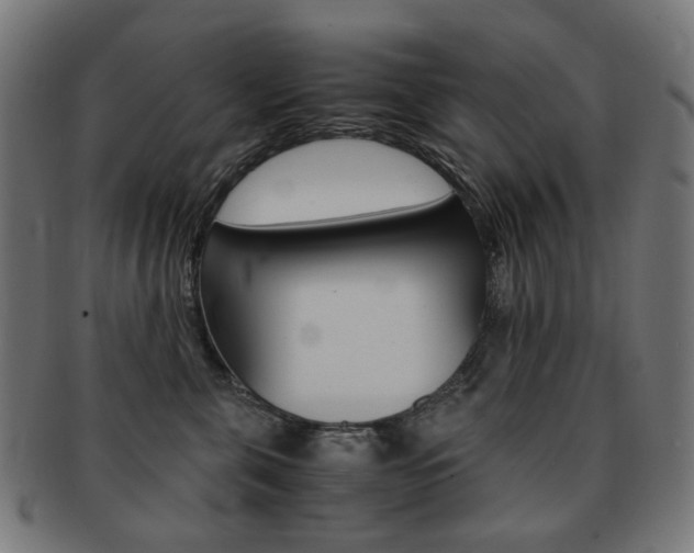 X0000092020571200709061332