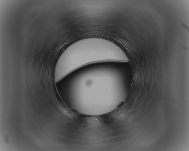 X0000092020572200709061332