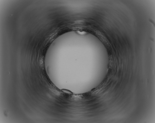 X0000092020573200709061332